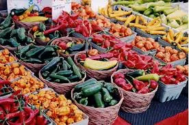 valras_market_1_south_france_holiday_villas