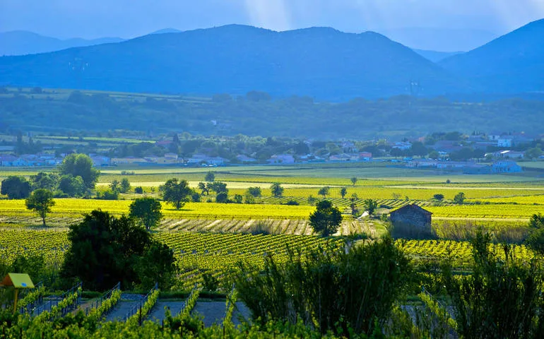 haut-languedoc_1_south_france_holiday_villas_770x480