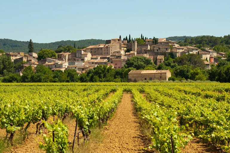 View over Carces from surrounding vinyards
