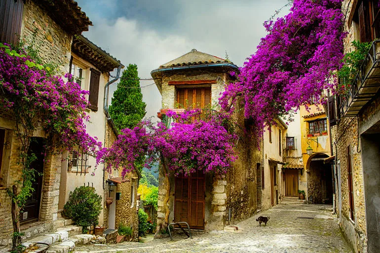 aix-en-provence_brignoles_draguinan_3_south_france_holiday_villas