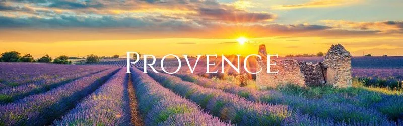 Holiday home in the Provence