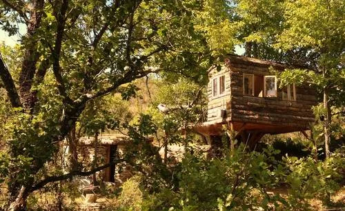 Wild_Boar_Retreat_3_owners_experiences_south_france_holiday_villas