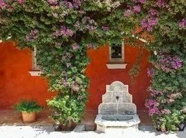 Quirky Homes