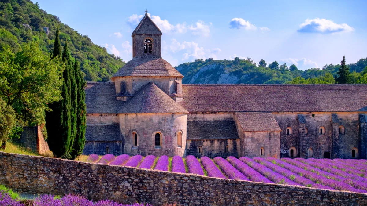 View over lavender fields to an abbey in Provence South of France