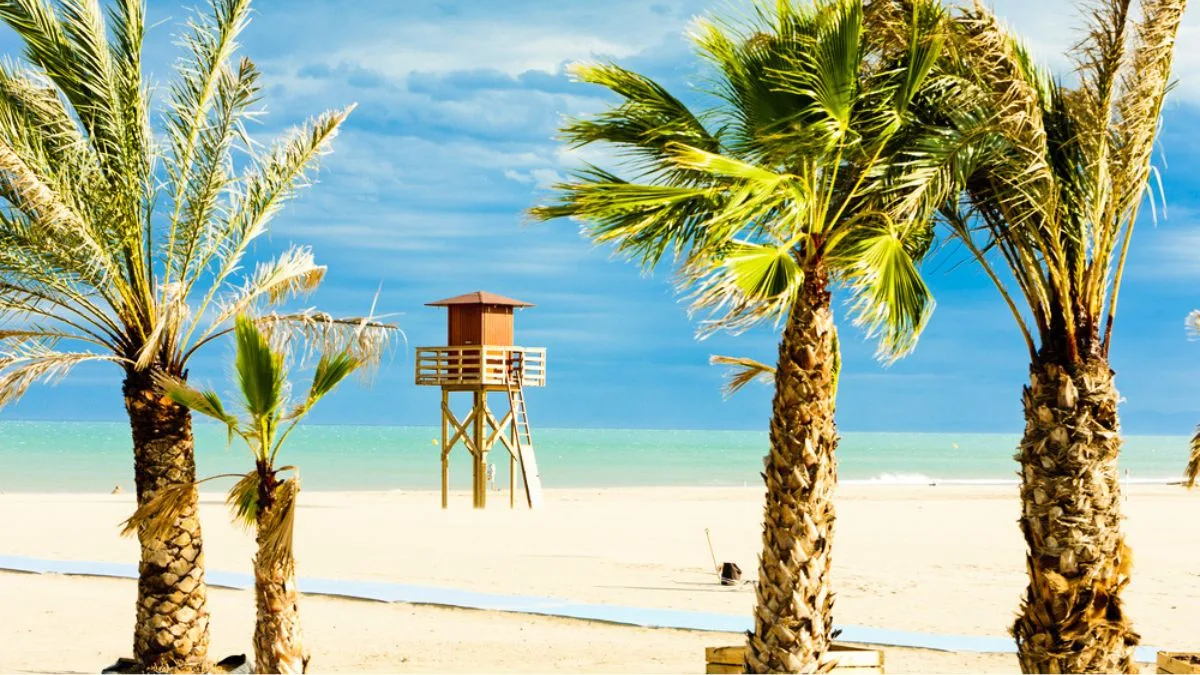 beach with palm trees and wooden watch tower near Narbonne