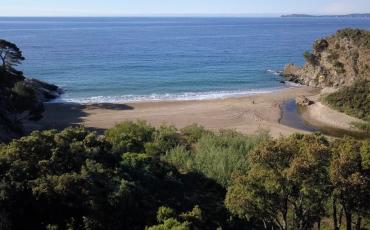 Villa With DIrect Access to Beach. Cavalaire Sur Mer. Sleeps 10, 5 bedrooms (CAVSM101)