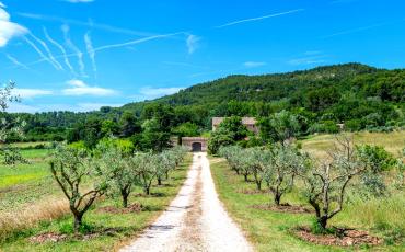 Magnificent Bastide set in 10ha. Pool, Air Conditioning. 8 bedrooms to sleep 15 guests (STSAT101YF)