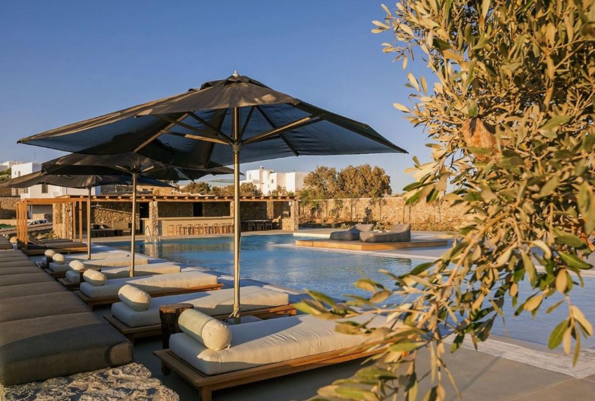 Luxury 5 bedroom holiday villa with private pool in Mykonos Greece (PV823)