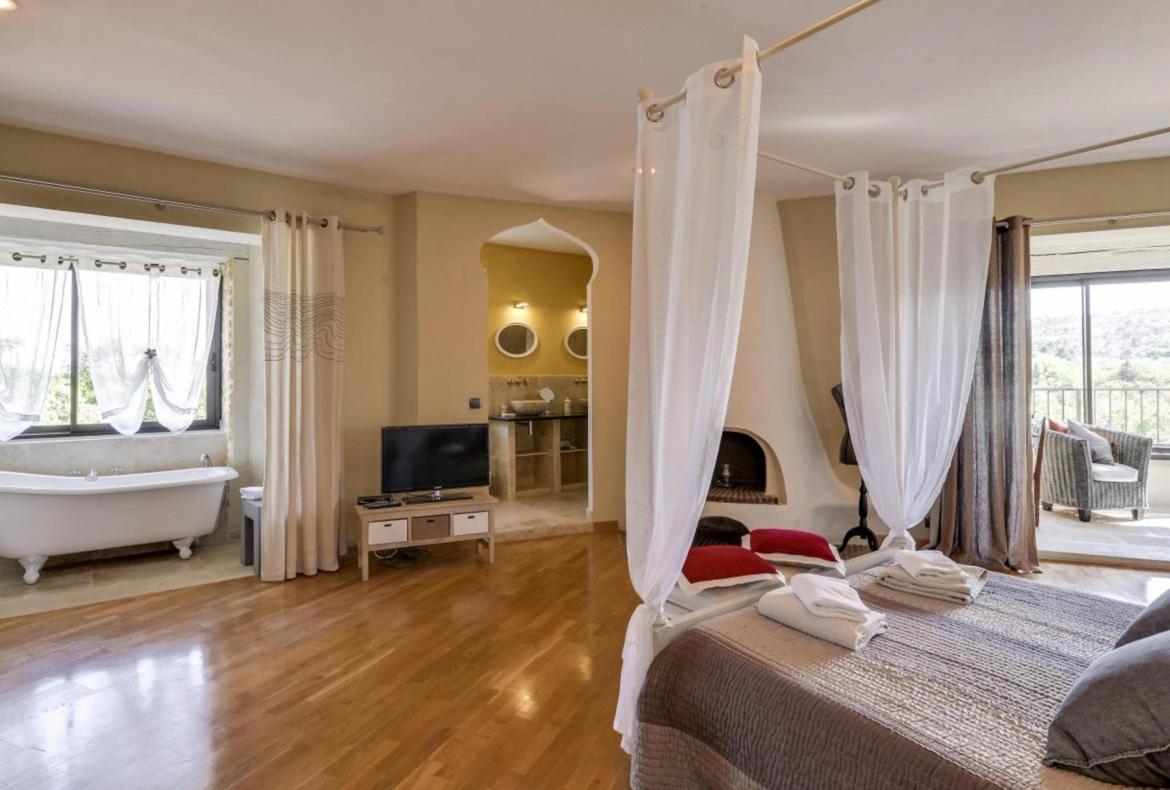 Luxury 8 bedroom holiday villa with private pool in Provence France (PV1836-2)