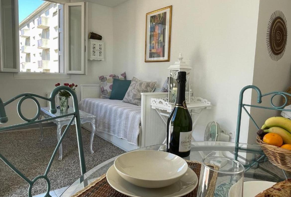 Well-appointed apartment in central Carcassonne (CARC121)