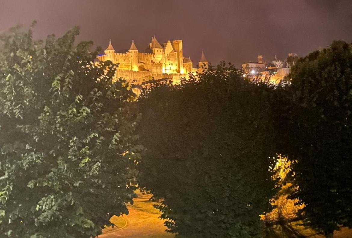 Well-appointed apartment in central Carcassonne (CARC121)