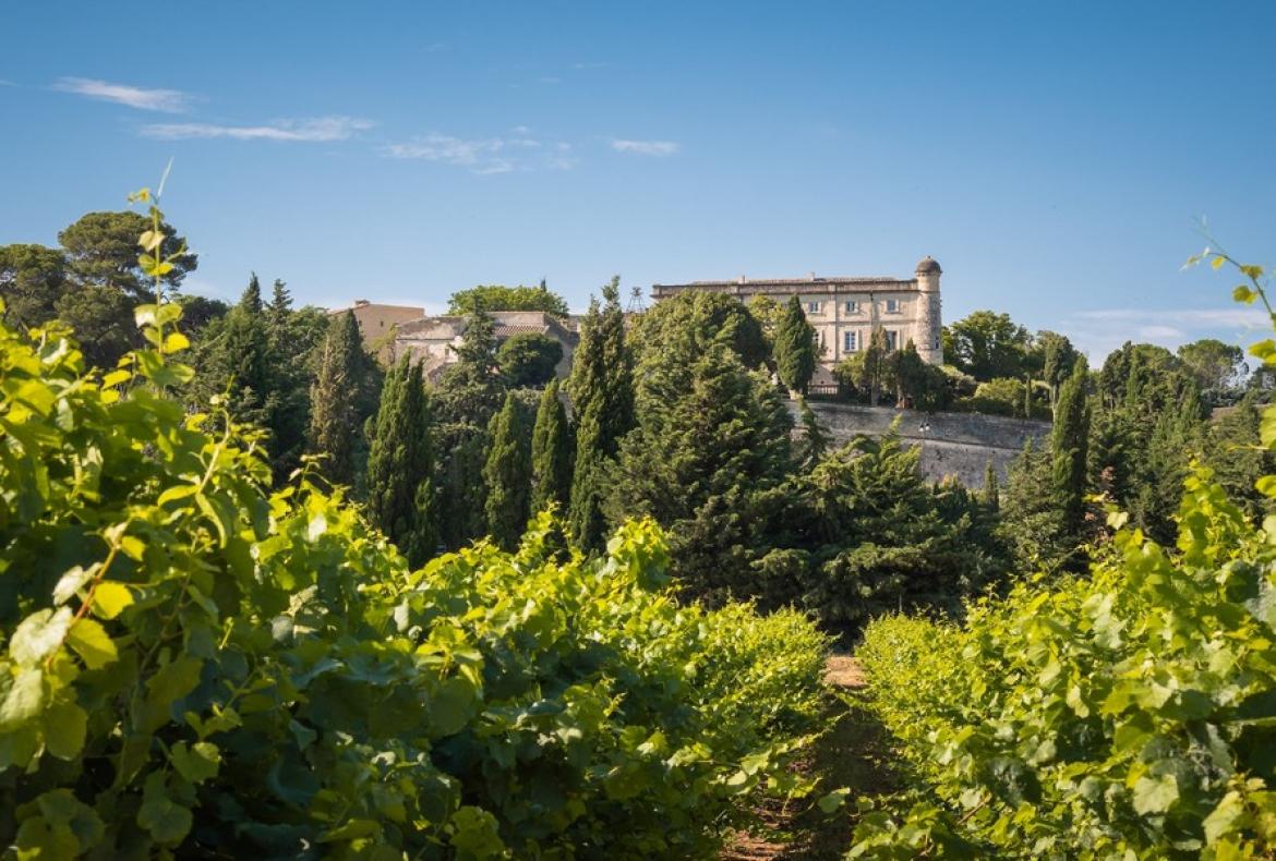 Magnificent XVIth century château. Saltwater pool. Walking distance to shops etc. 6 bedrooms to sleep 12 guests (UZES118GN)