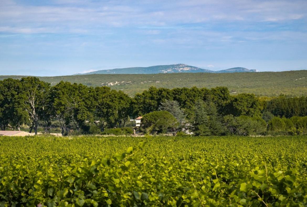 Magnificent XVIth century château. Saltwater pool. Walking distance to shops etc. 6 bedrooms to sleep 12 guests (UZES118GN)
