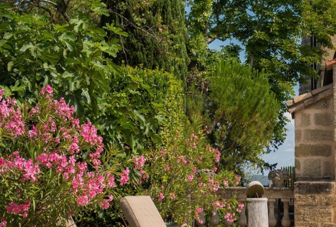Magnificent XVIth century château. Saltwater pool. Walking distance to shops etc. 6 bedrooms to sleep 12 guests (UZES118GN)