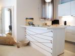Luxury 4 bedroom holiday villa with private pool in Mykonos Greece (PV2499)