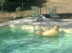 Villa in Charming Périgord Village. Heatable Pool and Garden. 3 bedrooms to sleep 6 (BERG101)