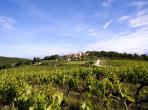 Luxury 7 bedroom holiday villa with private pool in Provence France (PV1640-2)
