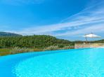 Luxury 7 bedroom holiday villa with private pool in Provence France (PV1640-2)