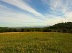 Luxury 7 bedroom holiday villa with private pool in Provence France (PV1640-2)
