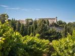 Magnificent XVIth century château. Saltwater pool. Walking distance to shops etc. 6 bedrooms to sleep 12 guests (UZES118GN)