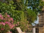 Magnificent XVIth century château. Saltwater pool. Walking distance to shops etc. 6 bedrooms to sleep 12 guests (UZES118GN)