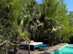 Contemporary villa with exotic garden, pool and jacuzzi. 5 bedrooms to sleep 11 (MONT194GN)